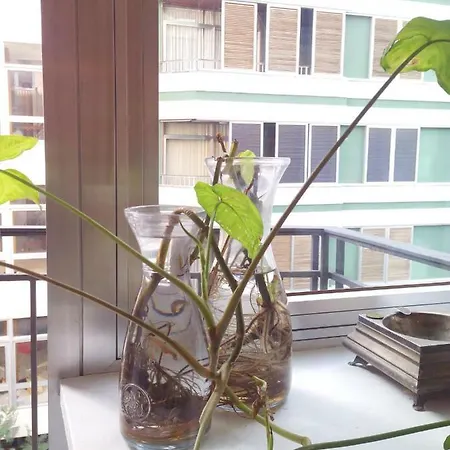Appartement Centro Ciudad